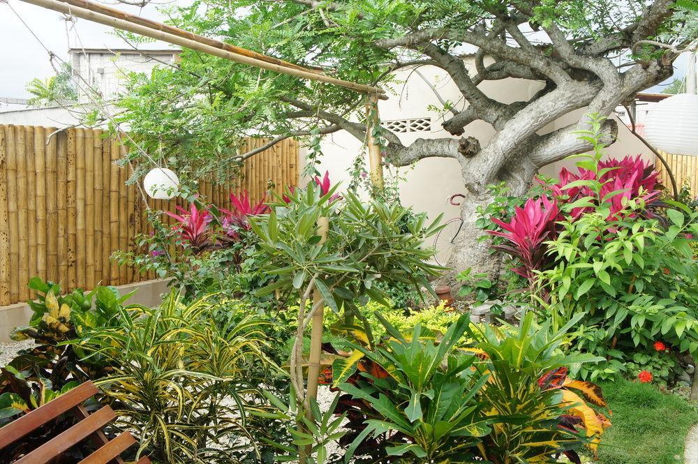 Rincon D'Olon Boutique Hotel Eksteriør bilde